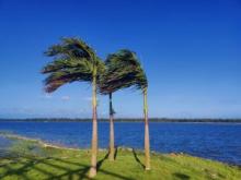 Beautification of Tampara Lake